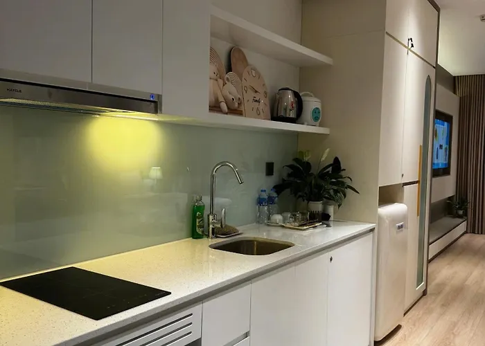 Ho Nghi Duong The Apartamento *